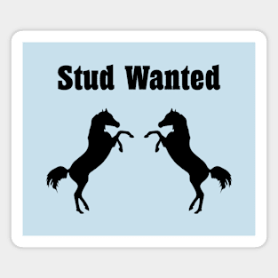 Stud Wanted Two Stallion Horses Monotone Magnet